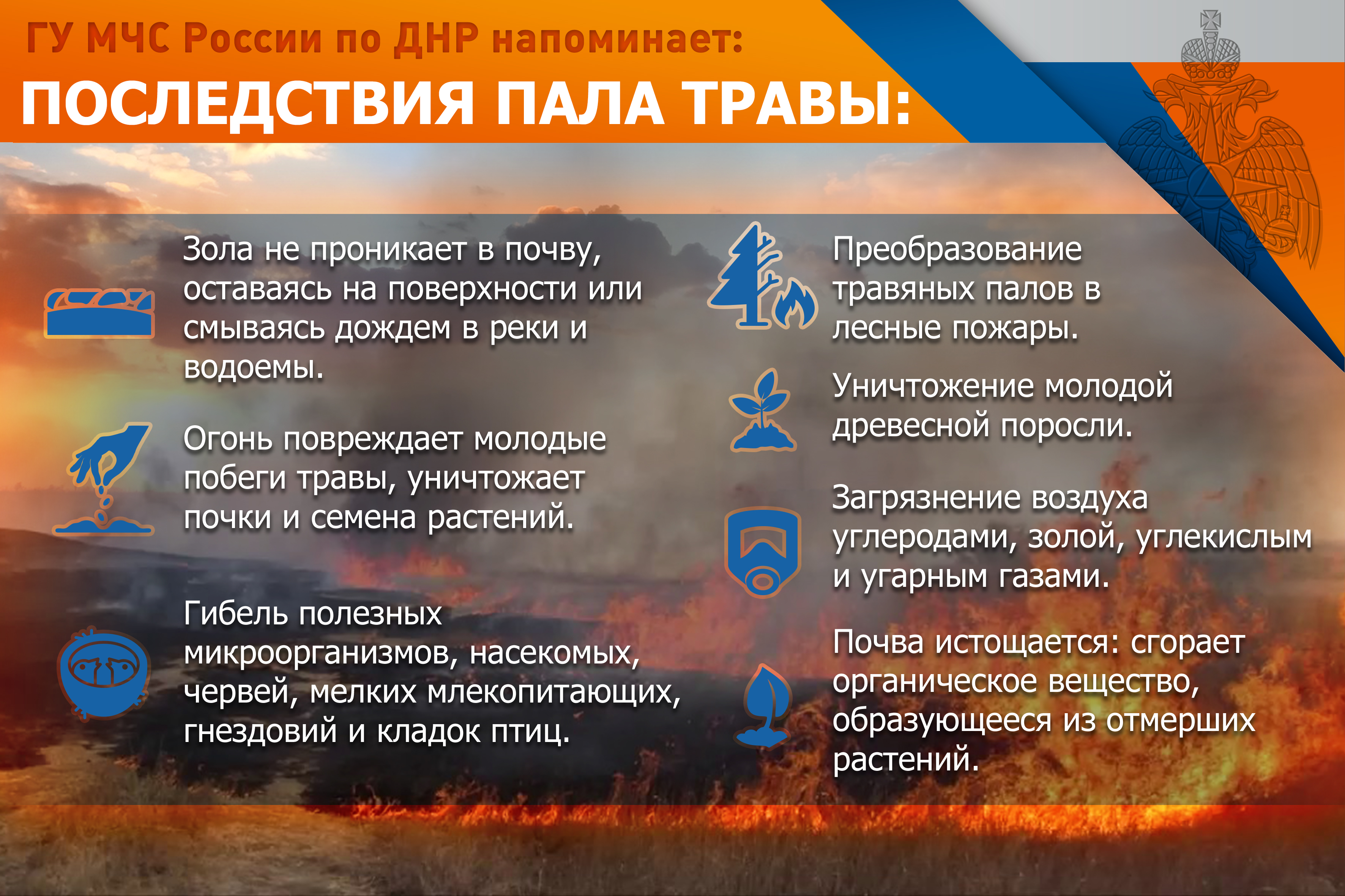 Пал сухой травы
